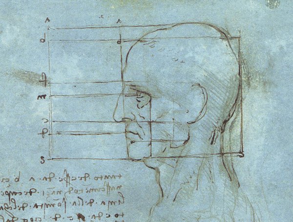 Leonardo Da Vinci – Proportions of the head